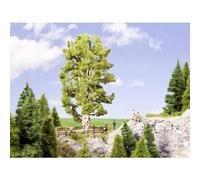 Arbre bouleau NOCH 0021641 190 mm 1 pc(s)