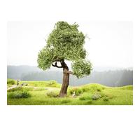 NOCH micro-motion Tree with Swing pièce pour modèle à l'échelle et accessoires Arbre