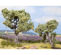 NOCH 21995 Due Ulivi 6-9 cm H0 N Arbres Modélisme Ferroviaire