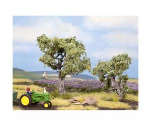 NOCH 21995 Olive Trees
