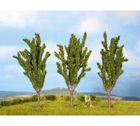 NOCH 25140 Peupliers Pz. 3 - Hauteur Cm. 12