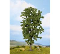 NOCH 25895 Horse Chestnut 0, H0, N, TT NEW in OVP