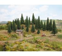 NOCH 26920 Série Hobby: Lot D’Abies (10 Pièces) Hauteur 5-14 Cm