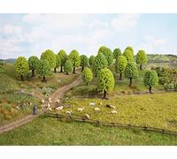 Arbres De Noch N, Z (32901): 10 Arbres A Feuilles Caduques, 3,5 - 5 CM Haut