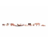 Noch - 36712 - Modélisme Ferroviaire - Cochons - 12 Figurines