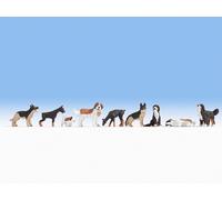 NOCH 36717 Échelle N Paquet De Chiens (Pz. 9 De Différentes Races)