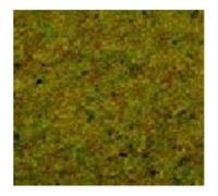 Noch - 50190 - Modélisme Ferroviaire - Terrain - Herbe - Vert Clair - 100 G