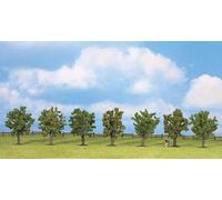 Noch Arbres fruitiers 25090 Modélisme ferroviaire Vert 7 pièces env. 8 cm