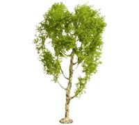 Noch® Arbre Miniature en Bouleau détaillé, 21 cm de Haut pour Les écartements de Voie H0, TT, N, Z, Parfait pour Les paysages modèles, la Construction de dioramas, Les Wargaming et Le Bricolage