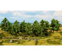 NOCH Arbres Feuillus, Couleur Modellbäume, 6 Pièce 14 - 18 CM, Ideal pour