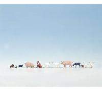 NOCH Farm Animals pièce pour modèle à l'échelle et accessoires Figurines