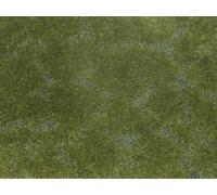 Noch Film Couvre-Sol Vert foncé pour modélisme, 12 x 18 cm pour Les écarteurs de Voie H0, TT, N, Z, idéal pour Les Champs et Les prairies