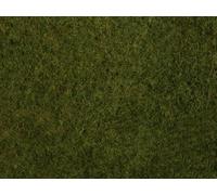 Noch Foliage D’Herbes Sauvages, Olive