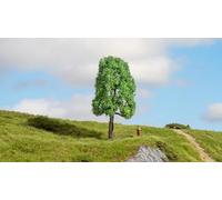 NOCH® Frêne de 13 cm de Haut, Arbre modèle Fait à la Main pour des scènes réalistes. Idéal pour Les échelles 1:35, 1:72, 1:32, 1:45