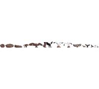 Noch – 15775 – Oiseaux (calibre H0) – Multicolore