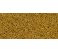 Herbes