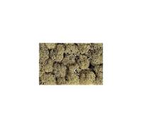 Noch Mousse De Décoration Couleur Gris Pierre 35 G Couleurgris Roche 8600