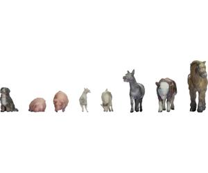 NOCH N Animaux à la ferme peint, assis, debout