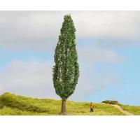 NOCH Peuplier 18cm - HO 1/87 - NOCH 20130