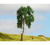 NOCH® Sapin de modélisme détaillé, 15 cm de Haut, Parfait pour Le modélisme ferroviaire des largeurs de Voie H0, TT, N, Z, Ainsi Que pour Le Bricolage, Le Bricolage et Le Wargaming