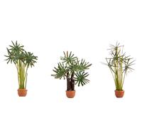 NOCH Plantes Palmiers Réalistes Modélisme 3 Pièces Pour Voie H0
