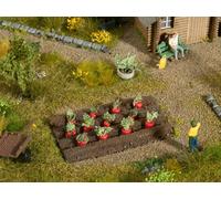 NOCH Rouge Betterave, 12 Plantes dans des Tons Et Verts ,Ideal pour Modélisme