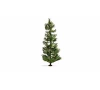 NOCH® Sapin de modélisme réaliste en épicéa - 19 cm de Haut - pour Le modélisme ferroviaire - Écartement de Voie H0, TT, N, Z - Idéal pour Les dioramas et Les paysages Miniatures Ainsi Que pour Le