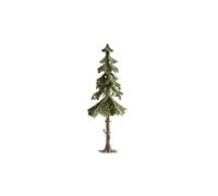 NOCH High Trunk Spruce Tree pièce pour modèle à l'échelle et accessoires Arbre