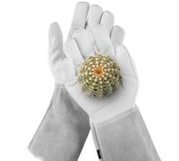 NoCry Gants de jardinage en cuir avec poignets longs et réglables - Résistants aux perforations - Paumes et doigts renforcés - Parfaits pour l'élagage des roses - Taille S - Gris
