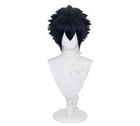 Noctis Cosplay Final Fantasy Cosplay Hommes Courte Perruque Bleu Foncé Cosplay Anime Cosplay Perruque Synthétique Résistante à la Chaleur