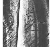 NOCTURNAL BLOODLUST - Whiteout