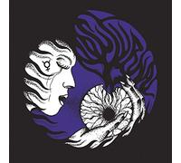 Nocturnal - Night Rainbow [Import]