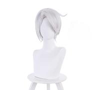 Noe Archiviste Perruque Cosplay Anime The Case Study of Vanitas Vanitas no Karte Cheveux courts argentés résistants à la chaleur + bonnet de perruque