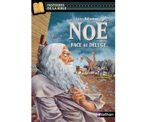 Noé face au déluge de Talamon. Flore (2012) Poche