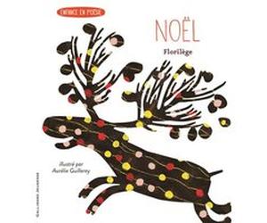 Noël Collectif (Auteur), Aurélie Guillerey (Illustration)