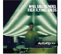 Noel Gallagher's High Flying Birds