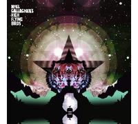 Noel Gallagher's High Flying Birds Black Star Dancing (Vinyl)