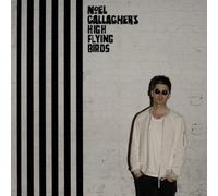 Noel Gallagher's High Flying Birds Chasing Yesterday (Vinyl) 12" Album