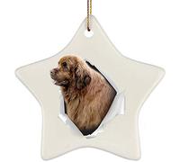 Noël Ornement avec Ficelle Dorée Cadeau Noël Céramique Arbre De Noël Artisanat Bricolage Décoration De Sapin De Noël Drôle De Chien De Terre-Neuve Rouge-Brun Sortant d'un Mur Fissuré