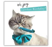 Noel Tatt Carte d'anniversaire amusante pour homme ou femme - Motif chat grincheux - Carte de vœux amusante - « Oh Joy Another Birthday »