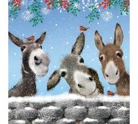 Noel Tatt Lot de 10 cartes de Noël caritatives - Cartes de Noël caritatives avec motif rouges-gorges enneigés et ânes - Cartes de Noël respectueuses de l'environnement avec enveloppes