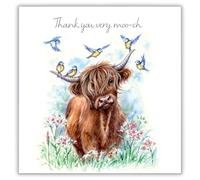 Noel Tatt Lot de 6 cartes de remerciement - Motif amusant vache et oiseaux des Highlands - Cartes de vœux vierges avec enveloppes - « Thank You Very Moo-ch ».