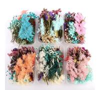 NOENNULL 1 Boîte de Fleurs Séchées, Plusieurs Fleurs Pressées Séchées Assorties Colorées, Feuilles Sèches pour Aromathérapie DIY, Bougie, Cadre Photo, Décoration de la Maison, Pendentif, Collier,