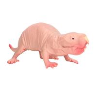NOENNULL Figurine de Taupe en Plastique, Jouet de Simulation d'animal, Décoration de Maison, Modèle de Taupe Nue Statique à Noyau Complet pour Enfants, Ornements de Table de Sable
