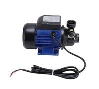 NOENNULL Pompe de Transfert D'eau électrique 230W, Pompe de Puits Solaires 180W, Tête de 15 M, Pompe NPT Jointe de Tuyau de 1 Pouce, pour un étang de Jardin, Irrigation et Transfert D'eau