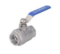 NOENNULL Valve à Billes Droite 2 Pièces Full Port en Acier Inoxydable Feme Feme DN25 Valve à Billes pour Robinet d'eau Robineux