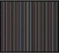 Noetinger,Jerome / Pateras,Anthony - 15 Coruscations [Compact Discs]