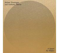 Noetinger Jerome & Pateras Anthony - A Sunset for Walter [Import]