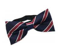 Noeud-papillon déjà noué, tricolore