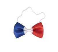 Noeud papillon France tricolore bleu, blanc et rouge (x1) REF/62532
